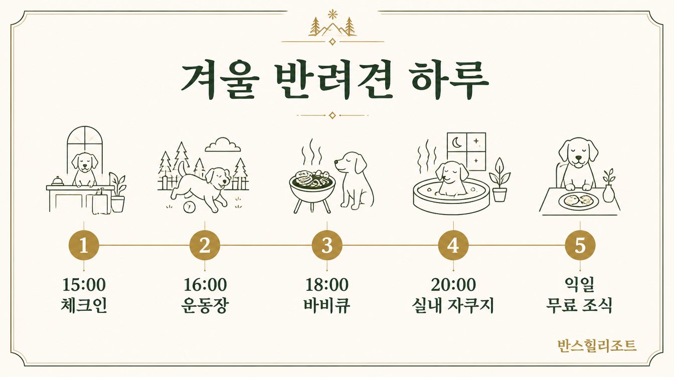 겨울 반려견 하루 일정 도식