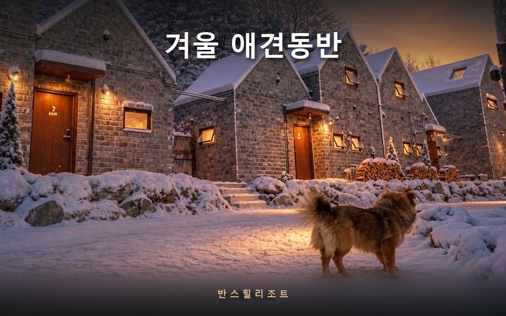반려견과 갈 곳 없는 겨울 — 실내에서 끝나는 홍천 겨울 애견동반