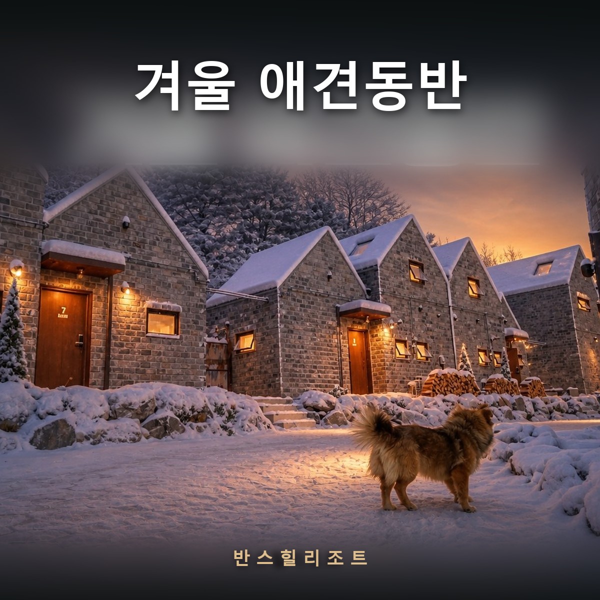 눈 덮인 독채 앞에 서 있는 반려견 — 겨울 애견동반 반스힐리조트