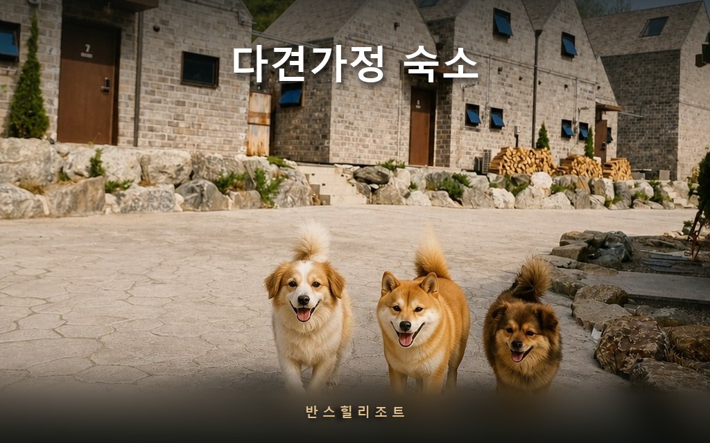 3마리까지 되는 숙소 찾기 — 홍천 다견가정 숙소의 현실적인 기준