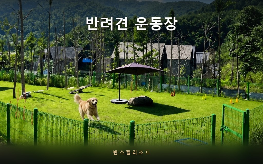 울타리가 둘러진 천연잔디 운동장에서 뛰는 반려견 — 반스힐리조트