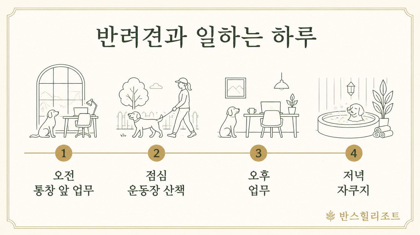 반려견과 일하는 하루 일정 도식
