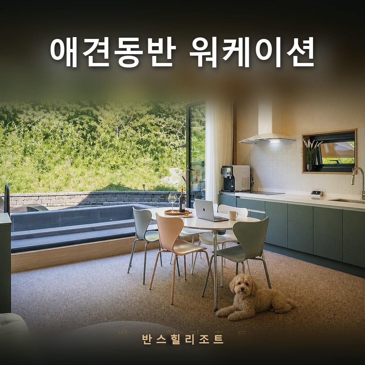 통창 앞 테이블에서 일하는 사람과 옆에 엎드린 반려견 — 애견동반 워케이션 반스힐리조트