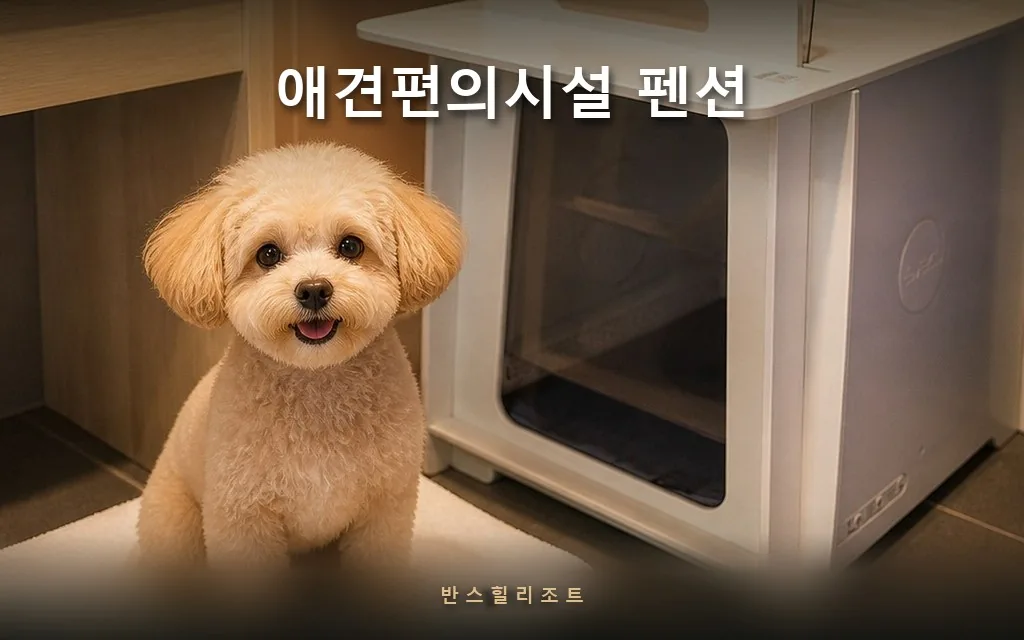 샤워실이 아니라 케어룸이 필요한 이유 — 홍천 애견편의시설 펜션