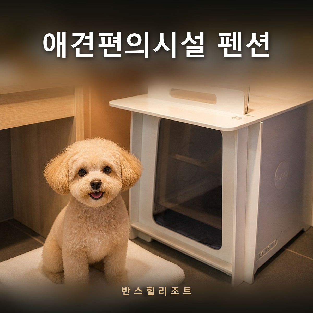 애견 드라이룸 앞에 앉은 반려견 — 애견편의시설 펜션 반스힐리조트