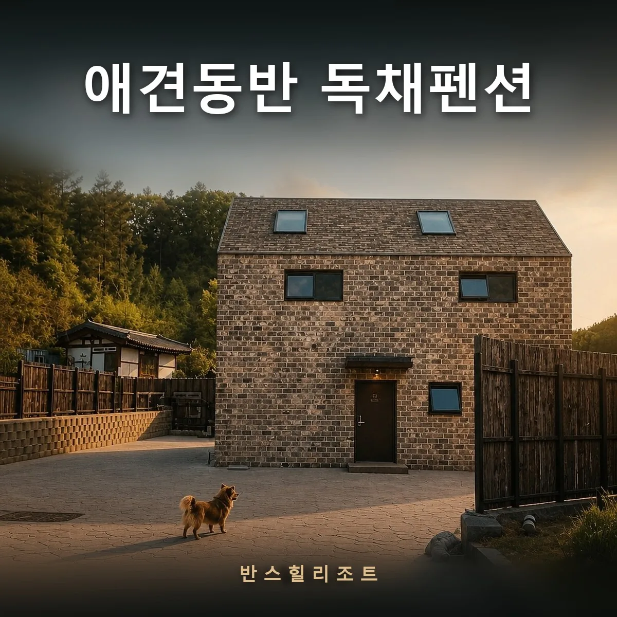 전용 마당이 딸린 석조 독채와 반려견 — 애견동반 독채펜션 반스힐리조트