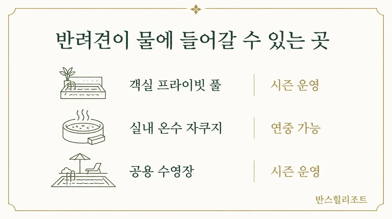 반려견이 물에 들어갈 수 있는 곳 도식