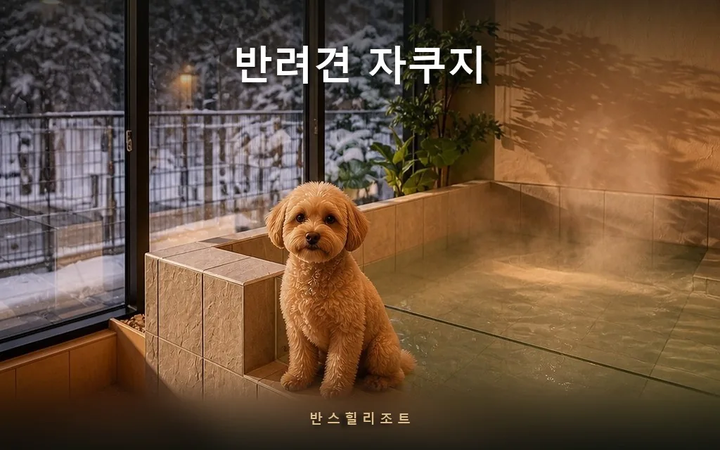 반려견 자쿠지 있는 홍천 숙소 — 겨울에도 같이 들어가는 물
