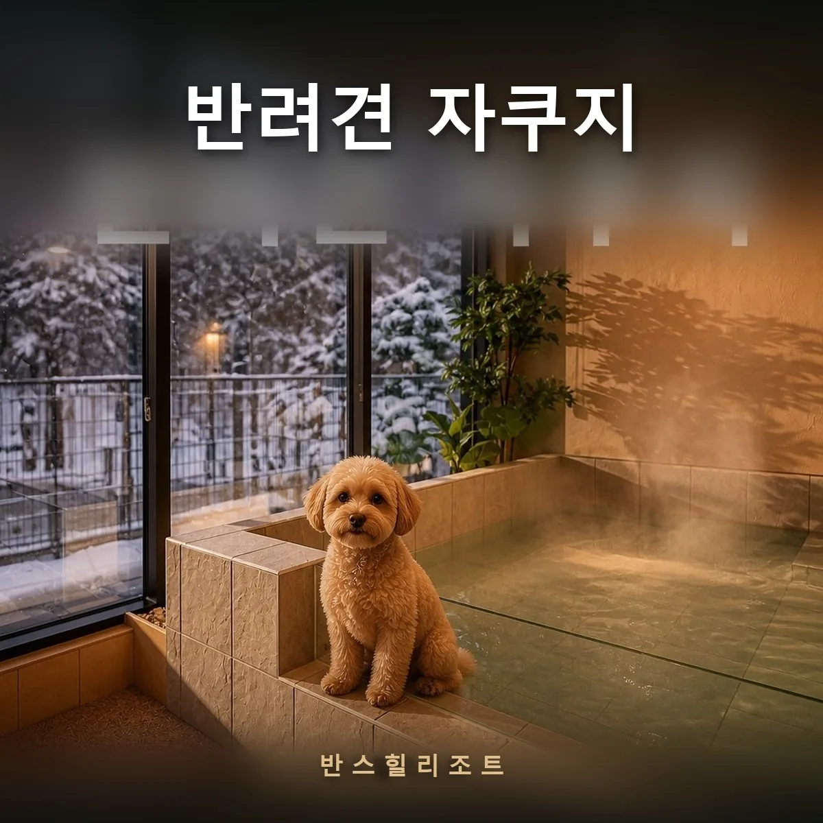 통창 앞 실내 온수 자쿠지 옆에 앉은 반려견 — 반려견 자쿠지 반스힐리조트