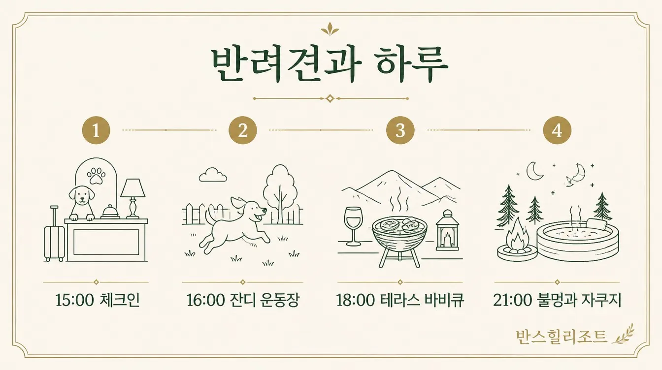 반려견과 하루 일정 도식
