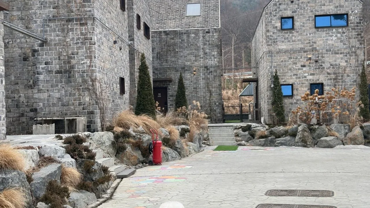 테라스에 앉은 반려견
