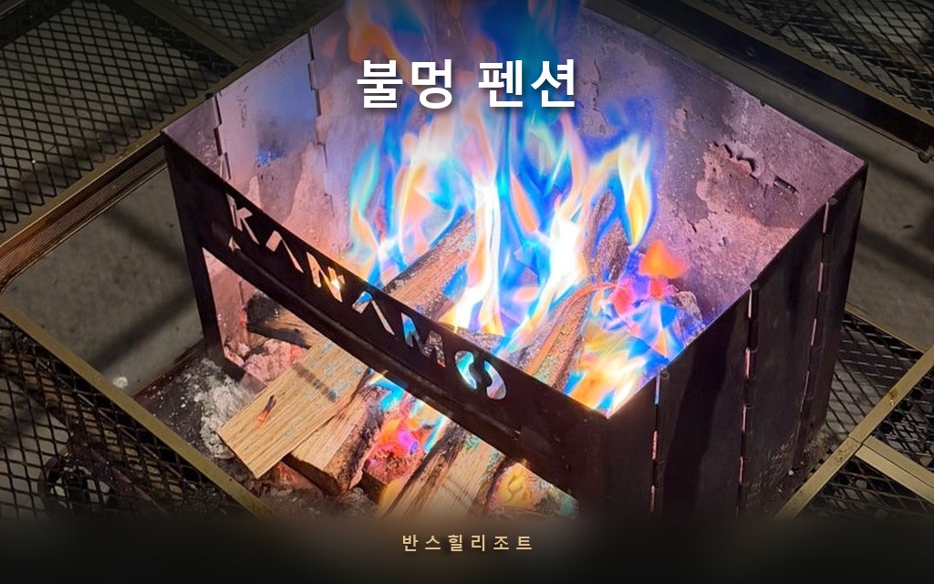 장작 하나로 무지개색 불이 붙습니다 — 홍천 오로라 불멍 펜션