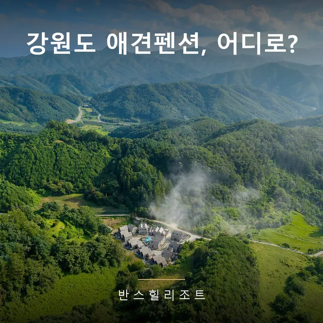 강아지와 홍천 1박 2일 — 애견동반풀빌라 기준 여행 코스