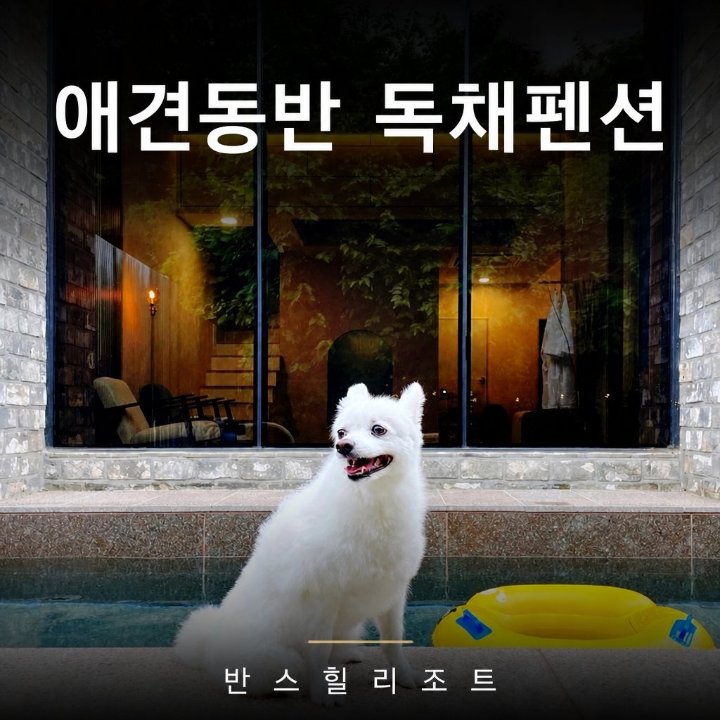 애견동반 독채펜션 반스힐리조트 — 전용 수영장 앞의 반려견